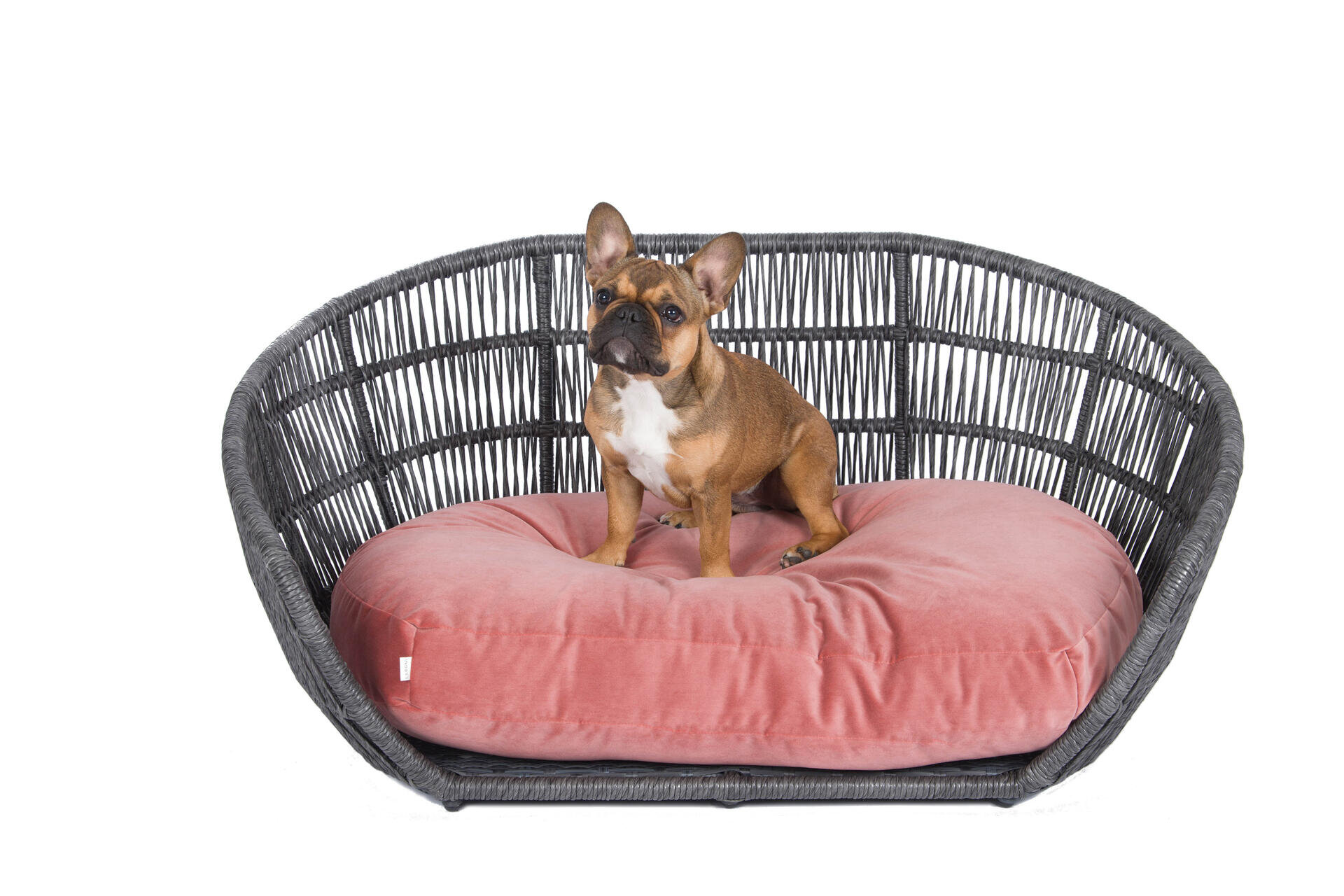 PRADO Design-Hundebett OXFORD Rose